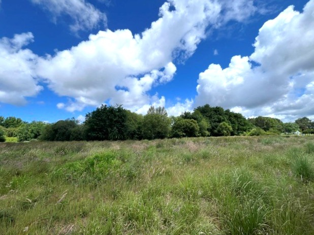 Vente Terrain Angresse